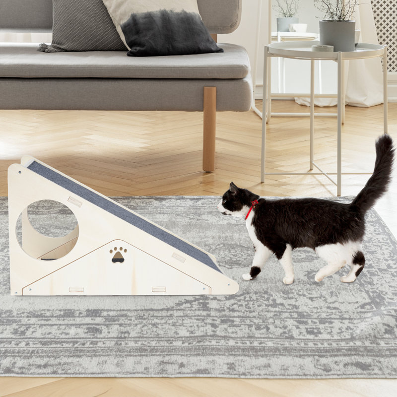 Cat ramp bed best sale